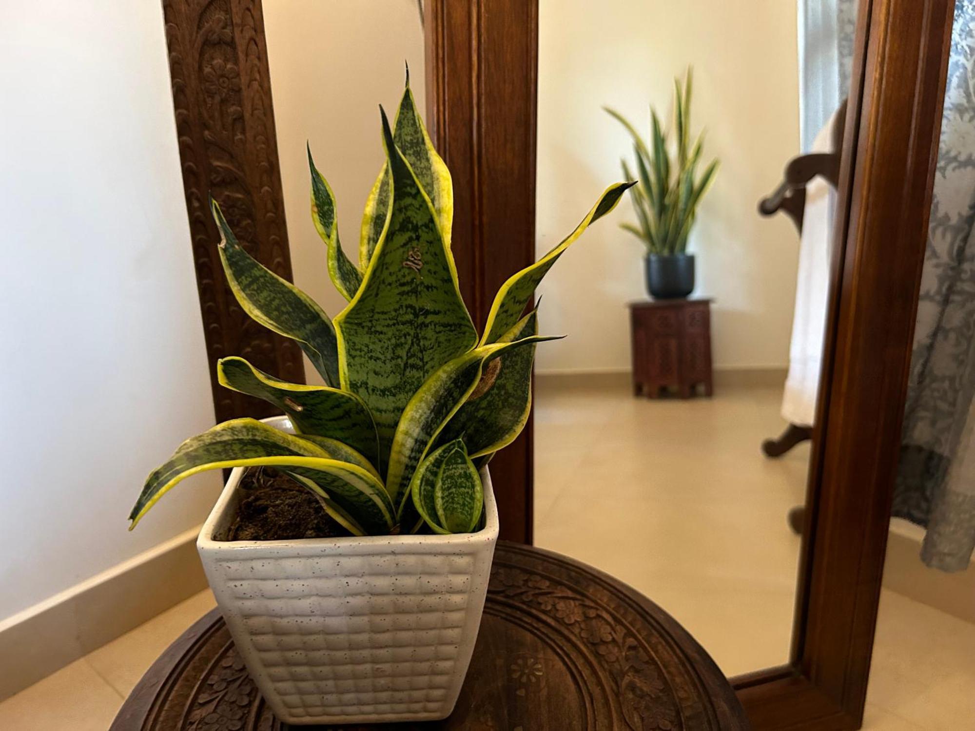 Bed and Breakfast Santa Maria, Trivandrum - An Airport Boutique By The Sea Thiruvananthapuram Zewnętrze zdjęcie