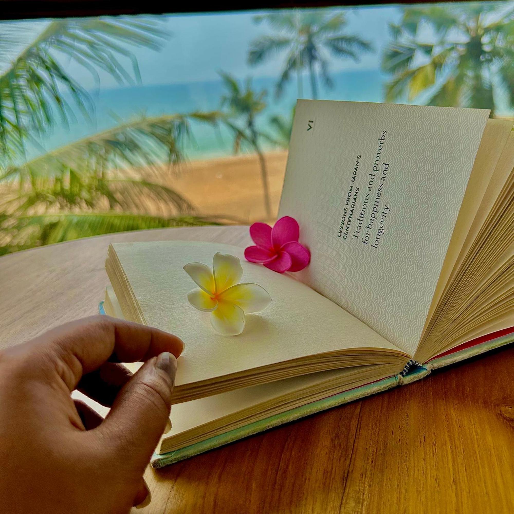 Bed and Breakfast Santa Maria, Trivandrum - An Airport Boutique By The Sea Thiruvananthapuram Zewnętrze zdjęcie