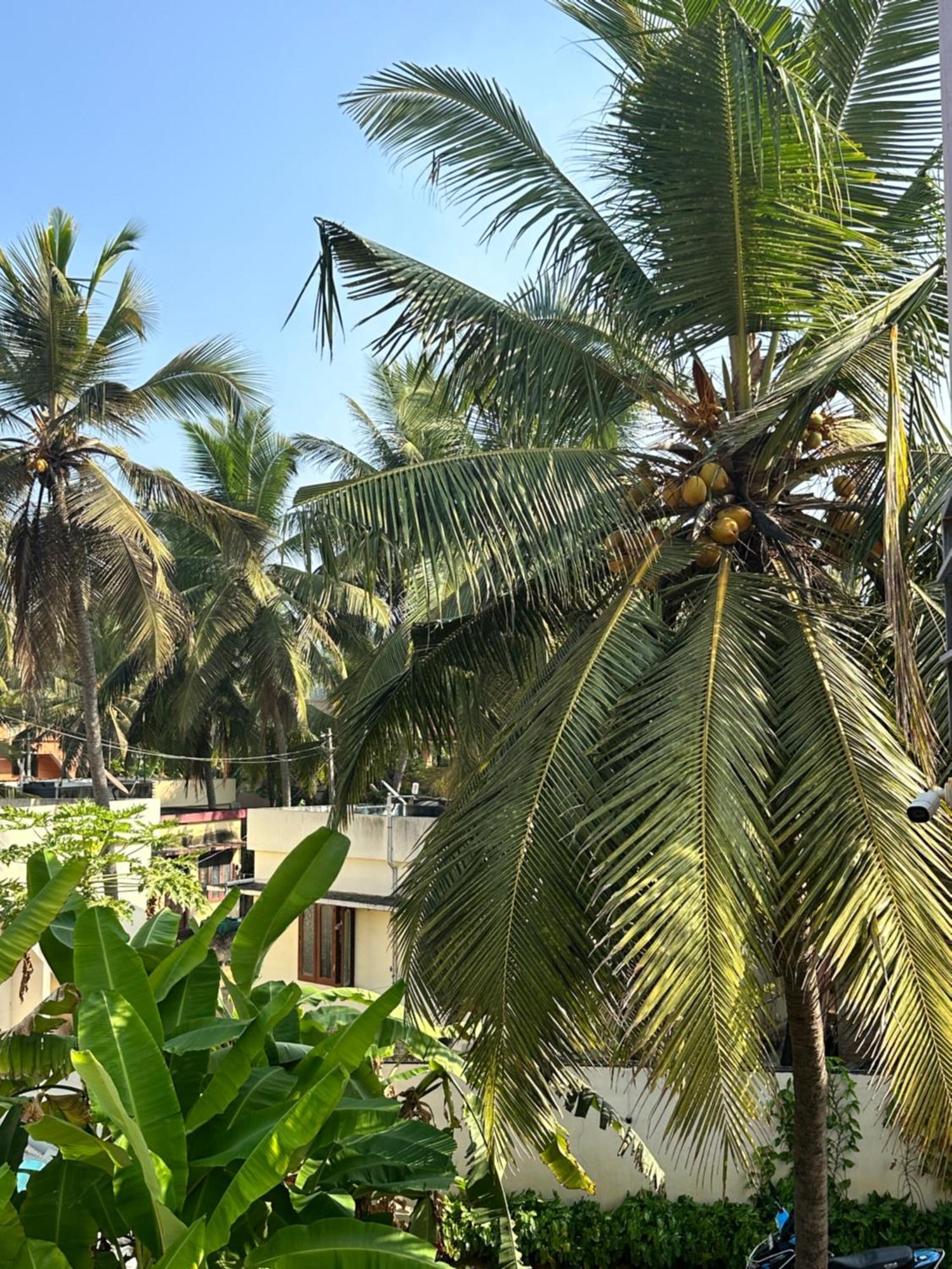 Bed and Breakfast Santa Maria, Trivandrum - An Airport Boutique By The Sea Thiruvananthapuram Zewnętrze zdjęcie