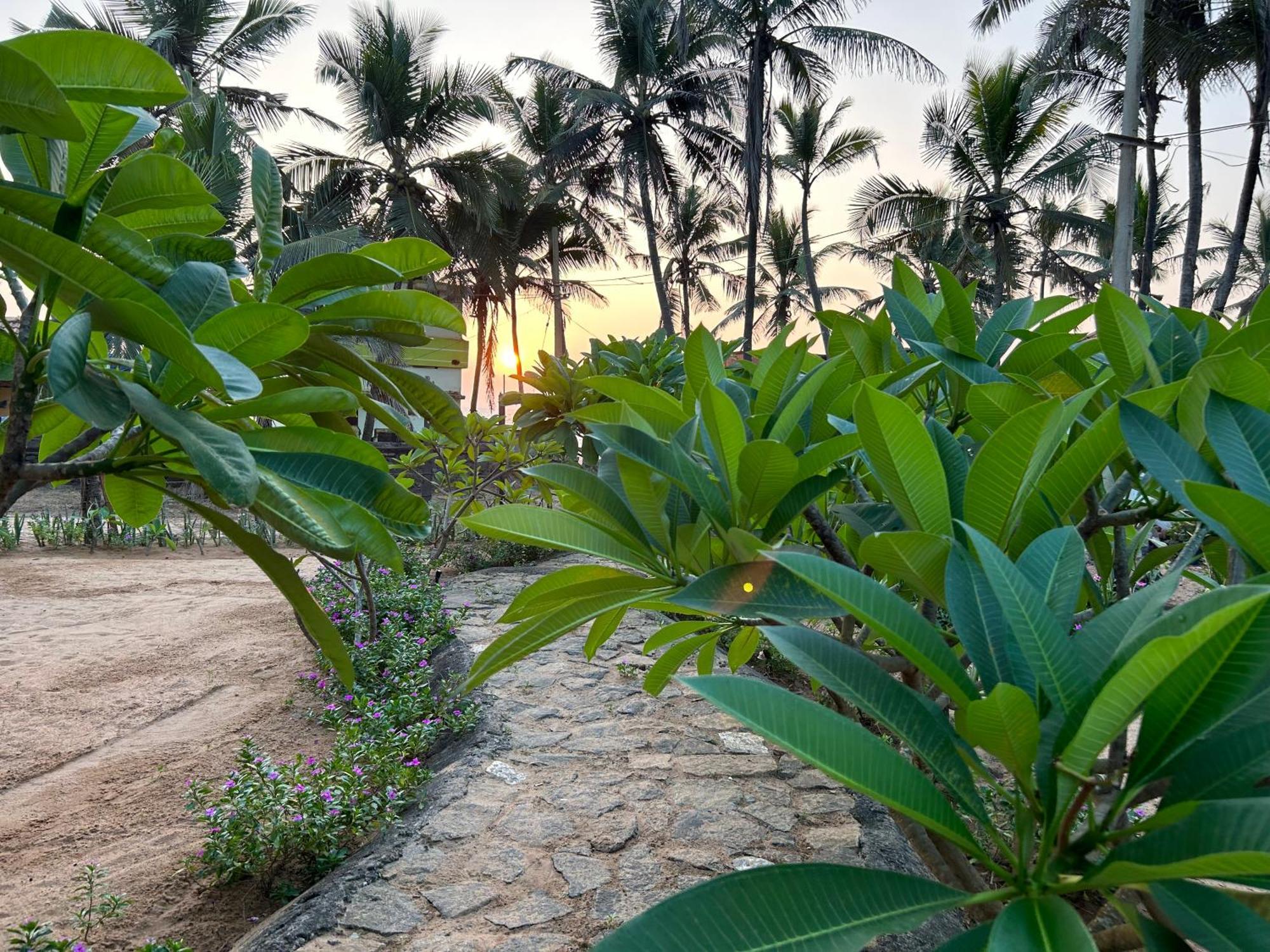 Bed and Breakfast Santa Maria, Trivandrum - An Airport Boutique By The Sea Thiruvananthapuram Zewnętrze zdjęcie