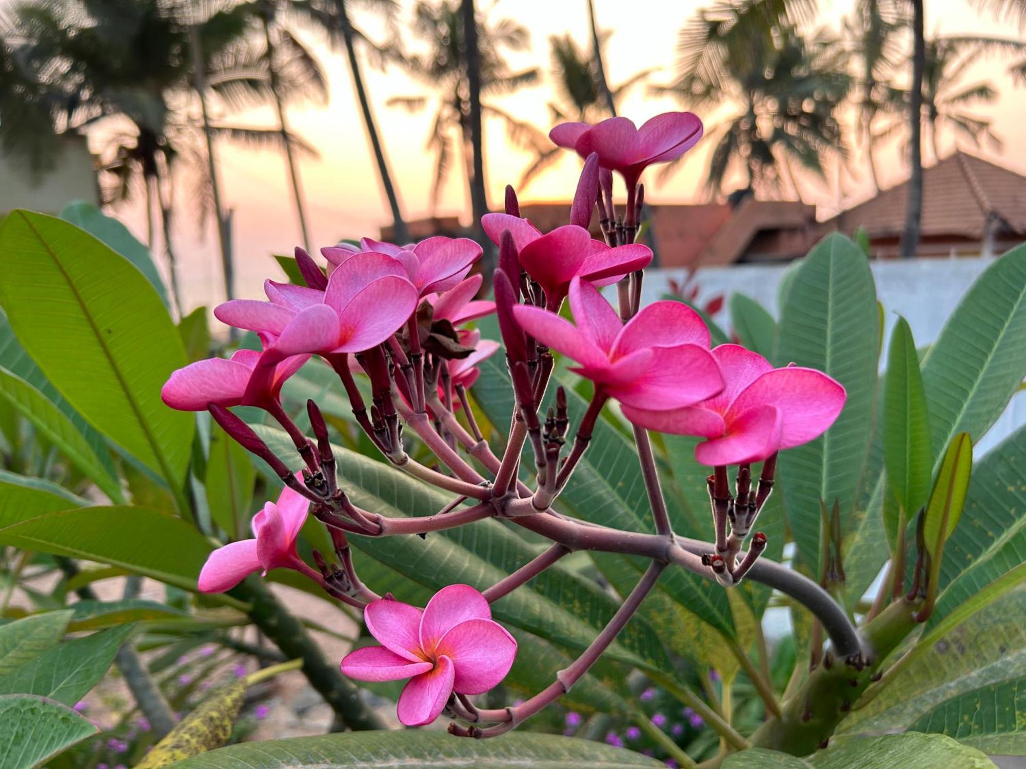 Bed and Breakfast Santa Maria, Trivandrum - An Airport Boutique By The Sea Thiruvananthapuram Zewnętrze zdjęcie